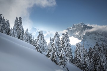 Photo Féérie d’hiver - Limited Edition - Finitions et cadres personnalisables - © Because Image Photo Féérie d’hiver - Limited Edition - Finitions et cadres personnalisables - © Because Image