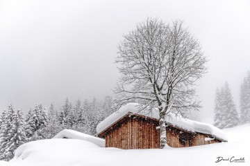 Photo Alpage sous la neige - Open Edition - Finitions et cadres personnalisables - © Because Image Photo Alpage sous la neige - Open Edition - Finitions et cadres personnalisables - © Because Image