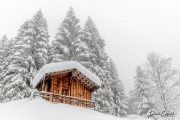 Photo Chalet cosy - Open Edition - Finitions et cadres personnalisables - © Because Image Photo Chalet cosy - Open Edition - Finitions et cadres personnalisables - © Because Image