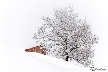 Photo Paysage d'hiver - Open Edition - Finitions et cadres personnalisables - © Because Image Photo Paysage d'hiver - Open Edition - Finitions et cadres personnalisables - © Because Image