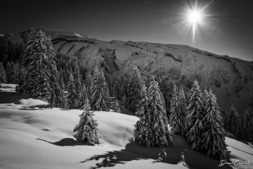 Photo Clin d'oeil de l'hiver - Open Edition - Finitions et cadres personnalisables - © Because Image Photo Clin d'oeil de l'hiver - Open Edition - Finitions et cadres personnalisables - © Because Image