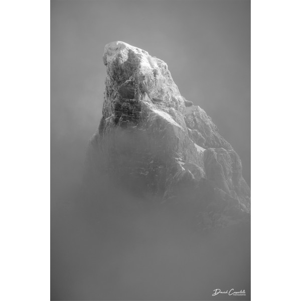 Apparition - Noir & Blanc