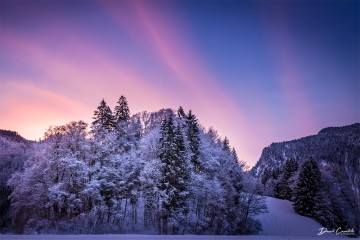 Photo Matin d'hiver - Open Edition - Finitions et cadres personnalisables - © Because Image Photo Matin d'hiver - Open Edition - Finitions et cadres personnalisables - © Because Image