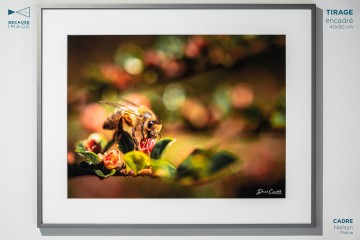 Photo Maya - Open Edition - Finitions et cadres personnalisables - © Because Image Photo Maya - Open Edition - Finitions et cadres personnalisables - © Because Image