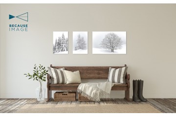 Photo Sapins habillés - Open Edition - Finitions et cadres personnalisables - © Because Image Photo Sapins habillés - Open Edition - Finitions et cadres personnalisables - © Because Image