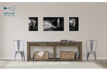 Photo Reine des Alpes - Arbre - Limited Edition - Finitions et cadres personnalisables - © Because Image Photo Reine des Alpes - Arbre - Limited Edition - Finitions et cadres personnalisables - © Because Image