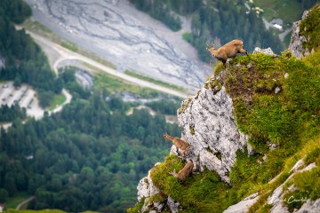 Photo Surveillance de haute volée - Open Edition - Finitions et cadres personnalisables - © Because Image Photo Surveillance de haute volée - Open Edition - Finitions et cadres personnalisables - © Because Image