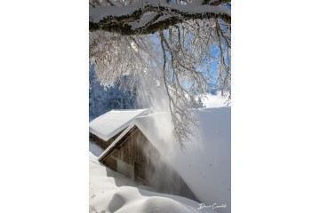 Photo Ambiance hivernale - Open Edition - Finitions et cadres personnalisables - © Because Image Photo Ambiance hivernale - Open Edition - Finitions et cadres personnalisables - © Because Image