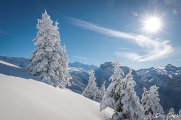 Photo Sapins congelés - Open Edition - Finitions et cadres personnalisables - © Because Image Photo Sapins congelés - Open Edition - Finitions et cadres personnalisables - © Because Image