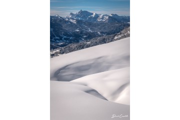 Photo Délicatesse et puissance - Open Edition - Finitions et cadres personnalisables - © Because Image Photo Délicatesse et puissance - Open Edition - Finitions et cadres personnalisables - © Because Image