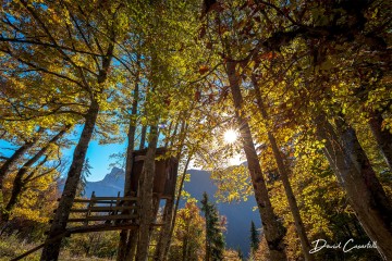 Photo Cabane dans les arbres - Open Edition - Finitions et cadres personnalisables - © Because Image Photo Cabane dans les arbres - Open Edition - Finitions et cadres personnalisables - © Because Image