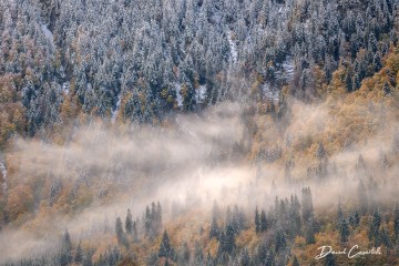 Photo Dualité brumeuse - Open Edition - Finitions et cadres personnalisables - © Because Image Photo Dualité brumeuse - Open Edition - Finitions et cadres personnalisables - © Because Image