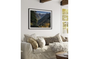 Forêt du Haut-giffre - Open Edition - Finitions et cadres personnalisables - © Because Image Forêt du Haut-giffre - Open Edition - Finitions et cadres personnalisables - © Because Image