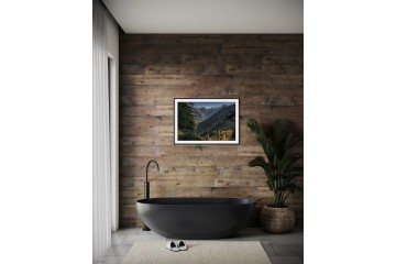 Forêt du Haut-giffre - Open Edition - Finitions et cadres personnalisables - © Because Image Forêt du Haut-giffre - Open Edition - Finitions et cadres personnalisables - © Because Image