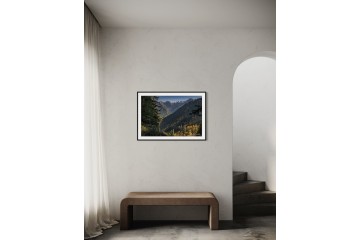 Forêt du Haut-giffre - Open Edition - Finitions et cadres personnalisables - © Because Image Forêt du Haut-giffre - Open Edition - Finitions et cadres personnalisables - © Because Image