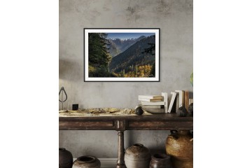 Forêt du Haut-giffre - Open Edition - Finitions et cadres personnalisables - © Because Image Forêt du Haut-giffre - Open Edition - Finitions et cadres personnalisables - © Because Image