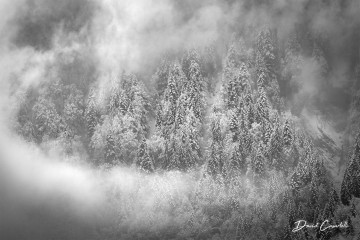 Photo Rêverie enneigée - Open Edition - Finitions et cadres personnalisables - © Because Image Photo Rêverie enneigée - Open Edition - Finitions et cadres personnalisables - © Because Image