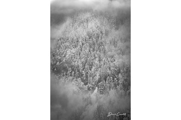 Photo Rêverie enneigée - Portrait - Open Edition - Finitions et cadres personnalisables - © Because Image Photo Rêverie enneigée - Portrait - Open Edition - Finitions et cadres personnalisables - © Because Image