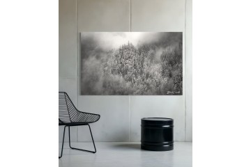 Photo Forêt en apesanteur - Open Edition - Finitions et cadres personnalisables - © Because Image Photo Forêt en apesanteur - Open Edition - Finitions et cadres personnalisables - © Because Image