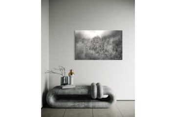 Photo Forêt en apesanteur - Open Edition - Finitions et cadres personnalisables - © Because Image Photo Forêt en apesanteur - Open Edition - Finitions et cadres personnalisables - © Because Image