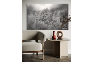 Photo Forêt en apesanteur - Open Edition - Finitions et cadres personnalisables - © Because Image Photo Forêt en apesanteur - Open Edition - Finitions et cadres personnalisables - © Because Image