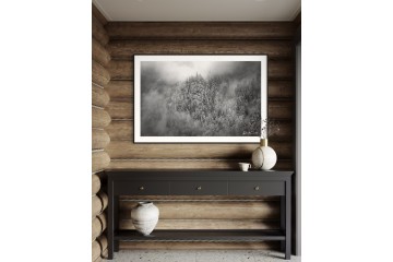 Photo Forêt en apesanteur - Open Edition - Finitions et cadres personnalisables - © Because Image Photo Forêt en apesanteur - Open Edition - Finitions et cadres personnalisables - © Because Image