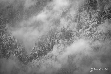 Photo Brume d'hiver - Open Edition - Finitions et cadres personnalisables - © Because Image Photo Brume d'hiver - Open Edition - Finitions et cadres personnalisables - © Because Image