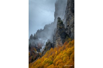 Le gardien - Portrait - Open Edition - Finitions et cadres personnalisables - © Because Image Le gardien - Portrait - Open Edition - Finitions et cadres personnalisables - © Because Image