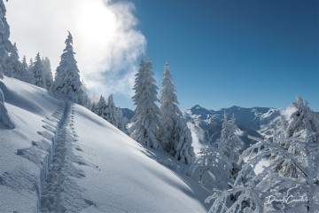 Vers la lumière - Open Edition - Finitions et cadres personnalisables - © Because Image