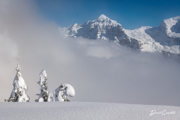 Éveil des cimes - Open Edition - Finitions et cadres personnalisables - © Because Image