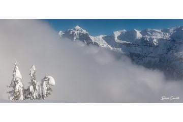 Entre deux mondes  - Open Edition - Finitions et cadres personnalisables - © Because Image