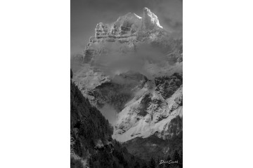 Après la tempête - Portrait - Open Edition - Finitions et cadres personnalisables - © Because Image