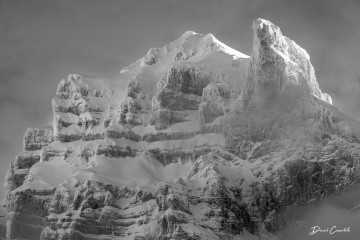 Couronne royale - Open Edition - Finitions et cadres personnalisables - © Because Image