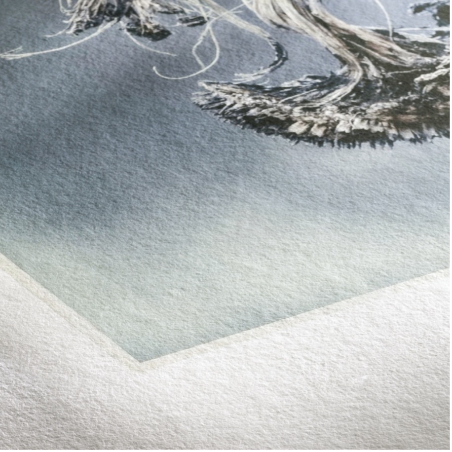 Impressions et papiers Fine Art